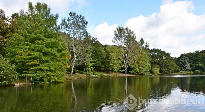 İstanbul'un müze parkı Atatürk Arboretumu