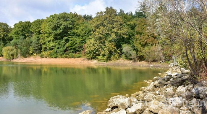 İstanbul'un müze parkı Atatürk Arboretumu
