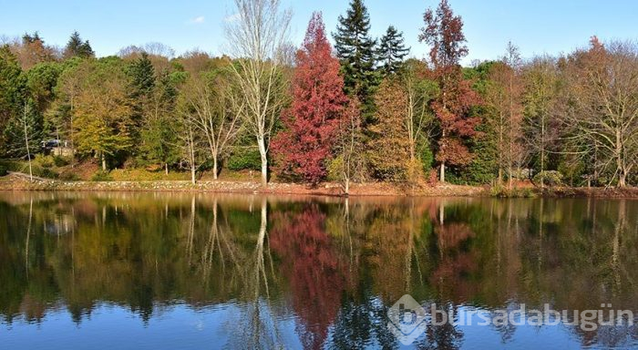 İstanbul'un müze parkı Atatürk Arboretumu