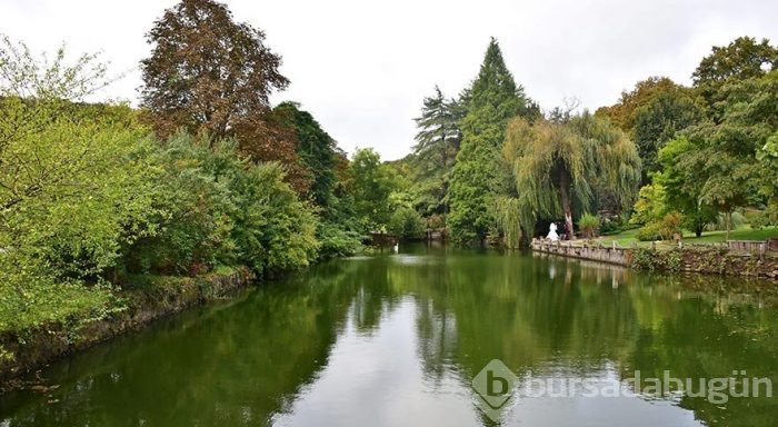 İstanbul'un müze parkı Atatürk Arboretumu