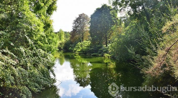 İstanbul'un müze parkı Atatürk Arboretumu