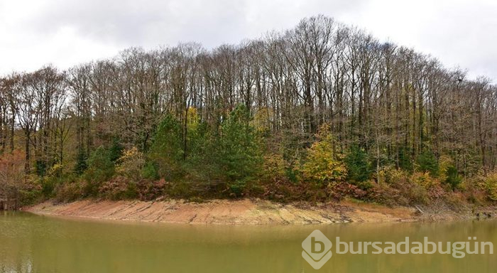 İstanbul'un müze parkı Atatürk Arboretumu