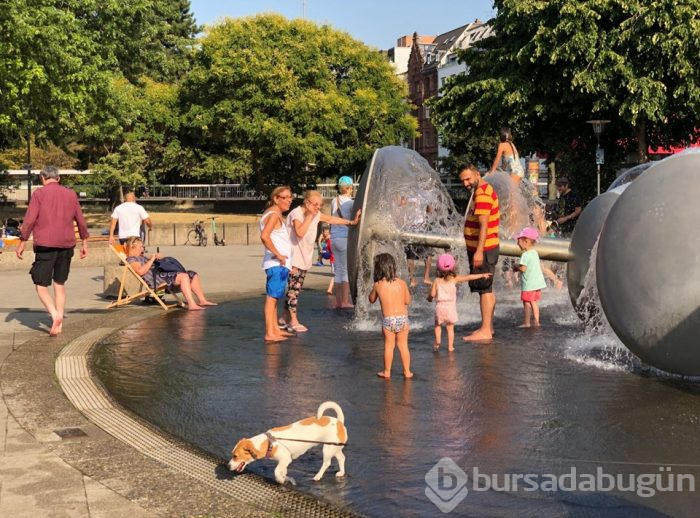 Avrupa sıcak hava dalgasının etkisinde (Paris'te rekor)