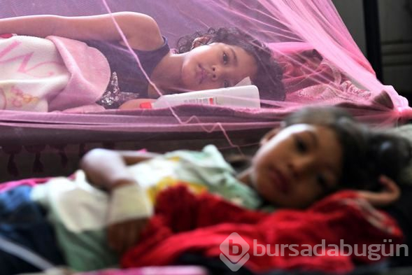 Honduras'ta Dang humması çok sayıda can aldı