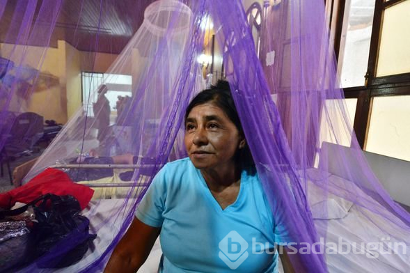 Honduras'ta Dang humması çok sayıda can aldı