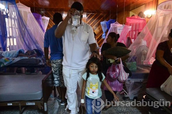 Honduras'ta Dang humması çok sayıda can aldı