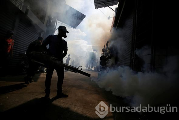 Honduras'ta Dang humması çok sayıda can aldı