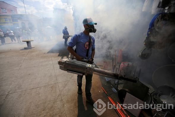 Honduras'ta Dang humması çok sayıda can aldı