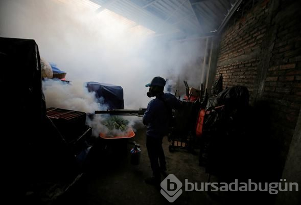 Honduras'ta Dang humması çok sayıda can aldı
