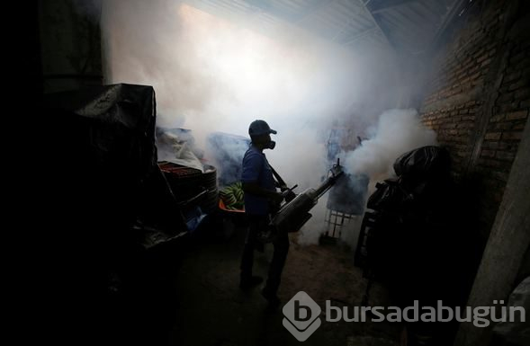 Honduras'ta Dang humması çok sayıda can aldı