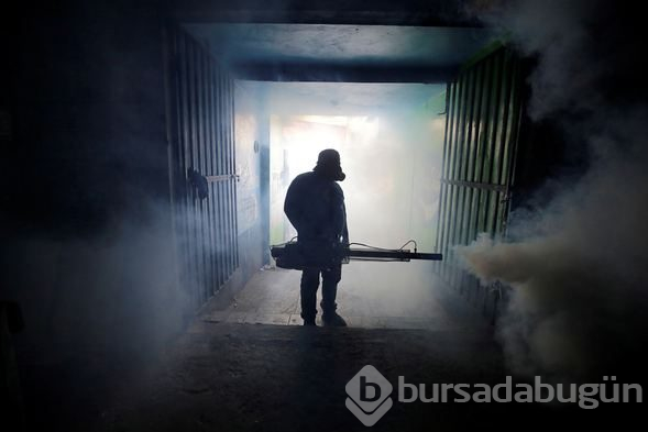 Honduras'ta Dang humması çok sayıda can aldı