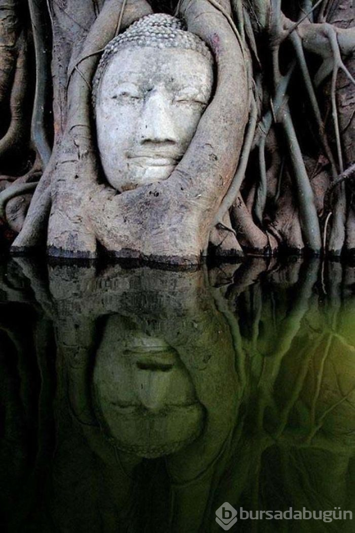 Doğanın medeniyete karşı kazandığı savaşı gösteren 15 fotoğraf