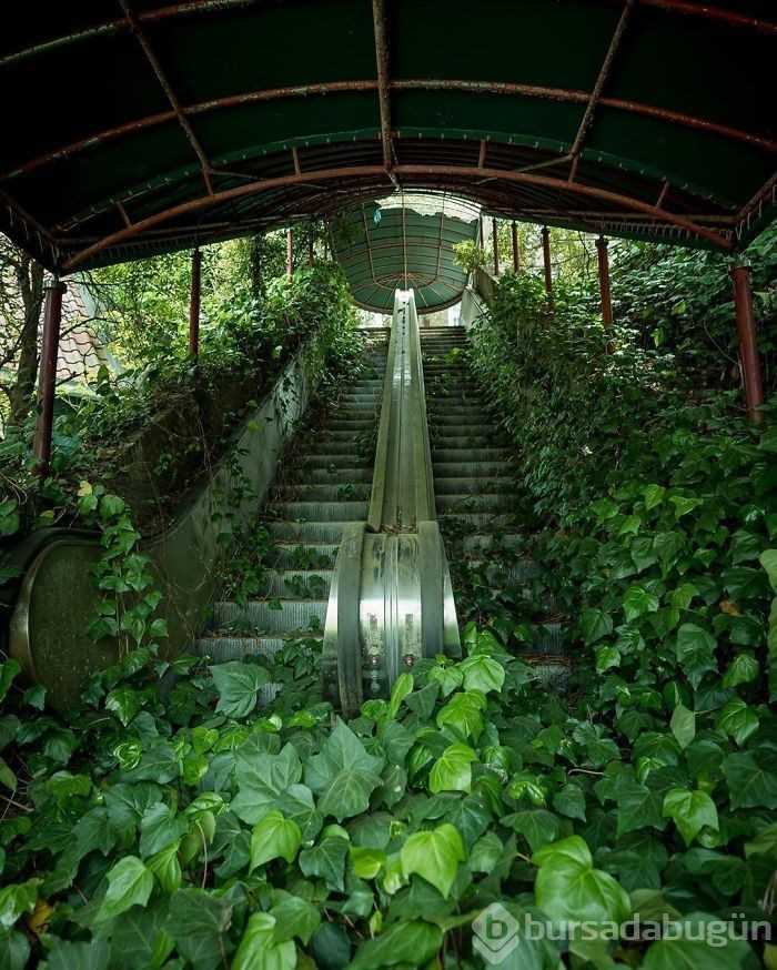 Doğanın medeniyete karşı kazandığı savaşı gösteren 15 fotoğraf