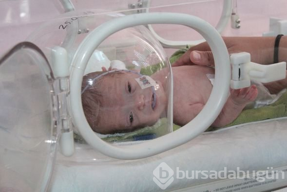 670 gram olarak dünyaya gelen 'parmak bebek' yaşama tutundu