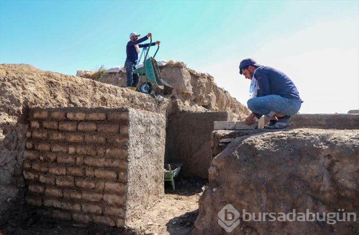 Kafatası olmayan 2 bin 700 yıllık sıra dışı iskelet (Van Kalesi)