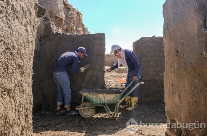 Kafatası olmayan 2 bin 700 yıllık sıra dışı iskelet (Van Kalesi)