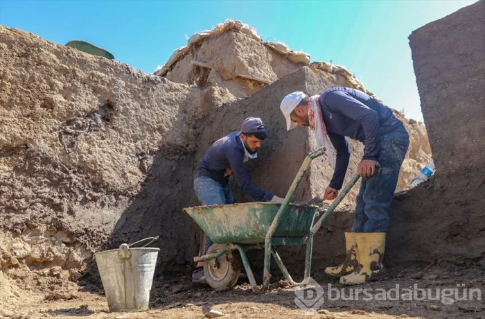 Kafatası olmayan 2 bin 700 yıllık sıra dışı iskelet (Van Kalesi)