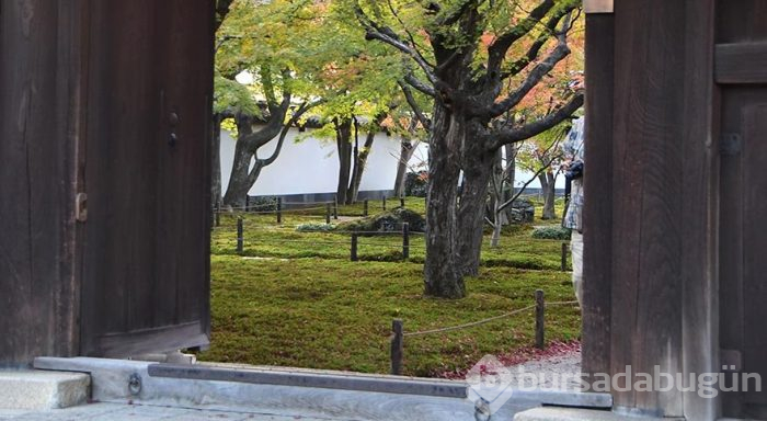 Japonya'da çay törenleriyle ünlü 800 yıllık tapınak