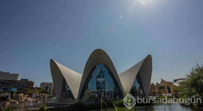 22. yüzyılın fütüristik yapısı: Valencia Sanat ve Bilim Şehri
