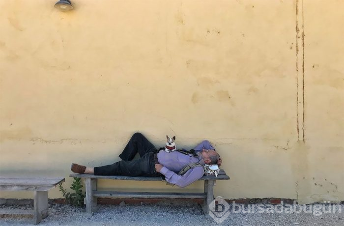 2019 iPhone Fotoğraf Yarışması'nın kazananları