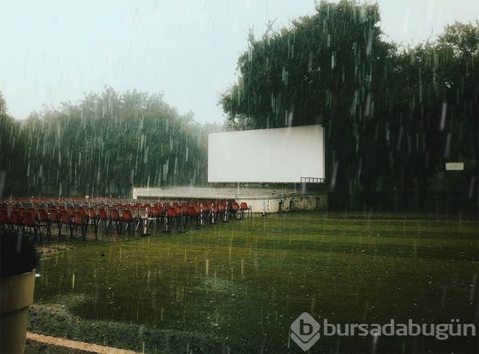 2019 iPhone Fotoğraf Yarışması'nın kazananları
