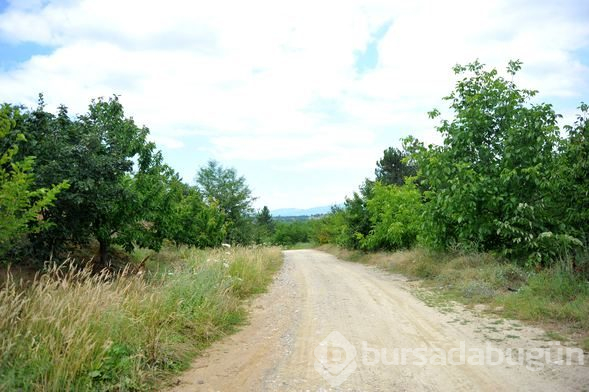 Yoldan gelip geçenler sebze- meyve yesin diye 'Hayrat Bahçesi' yaptı