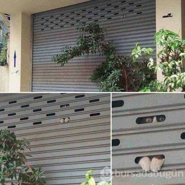 Günün en çok paylaşılan fotoğrafları (31.07.2019)