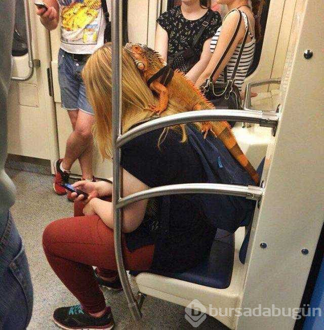 Günün en çok paylaşılan fotoğrafları (31.07.2019)