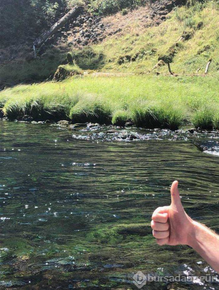 Günün en çok paylaşılan fotoğrafları (31.07.2019)
