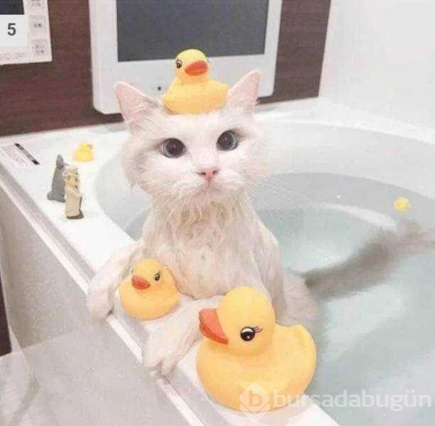 Günün en çok paylaşılan fotoğrafları (31.07.2019)