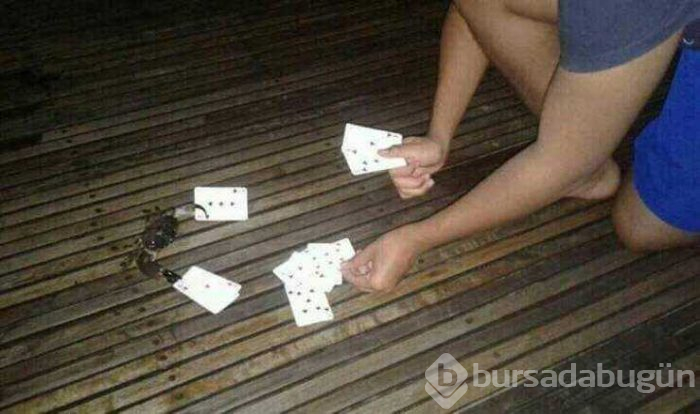 Günün en çok paylaşılan fotoğrafları (31.07.2019)