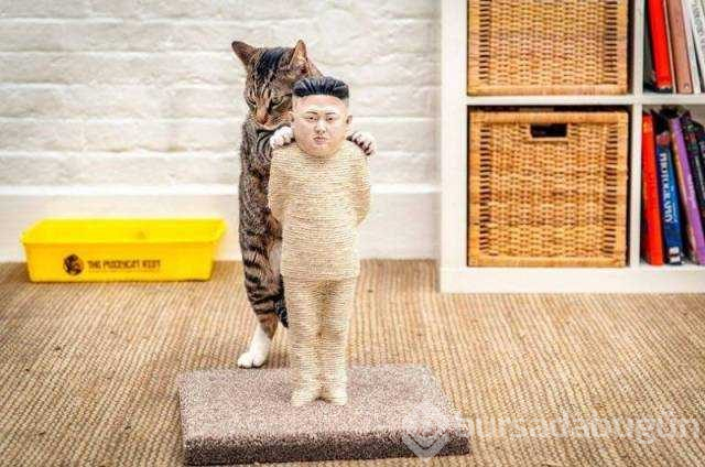 Günün en çok paylaşılan fotoğrafları (31.07.2019)