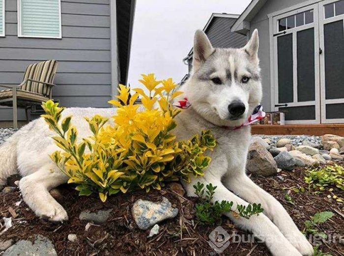 Günün en çok paylaşılan fotoğrafları (31.07.2019)