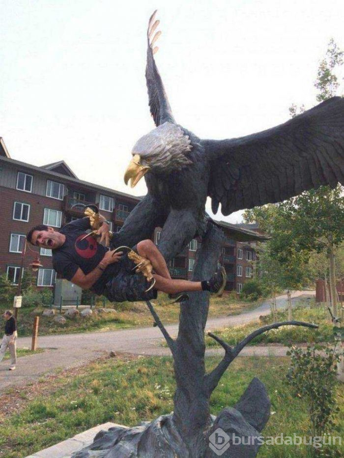 Günün en çok paylaşılan fotoğrafları (31.07.2019)