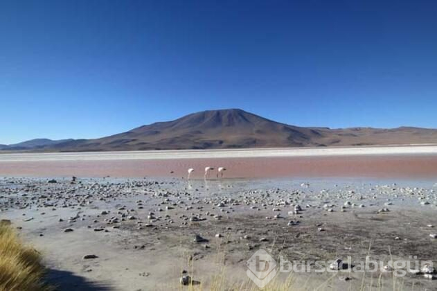 Dünyanın en kurak yeri Atacama...