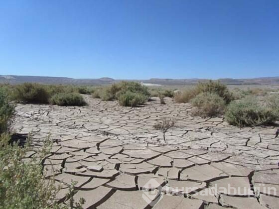 Dünyanın en kurak yeri Atacama...