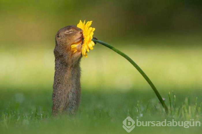 Günün en çok paylaşılan fotoğrafları (01.08.2019)