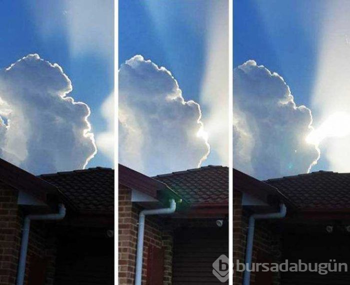 Günün en çok paylaşılan fotoğrafları (01.08.2019)