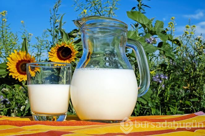 Proteinler hakkında hiç bilmediğiniz gerçekler!
