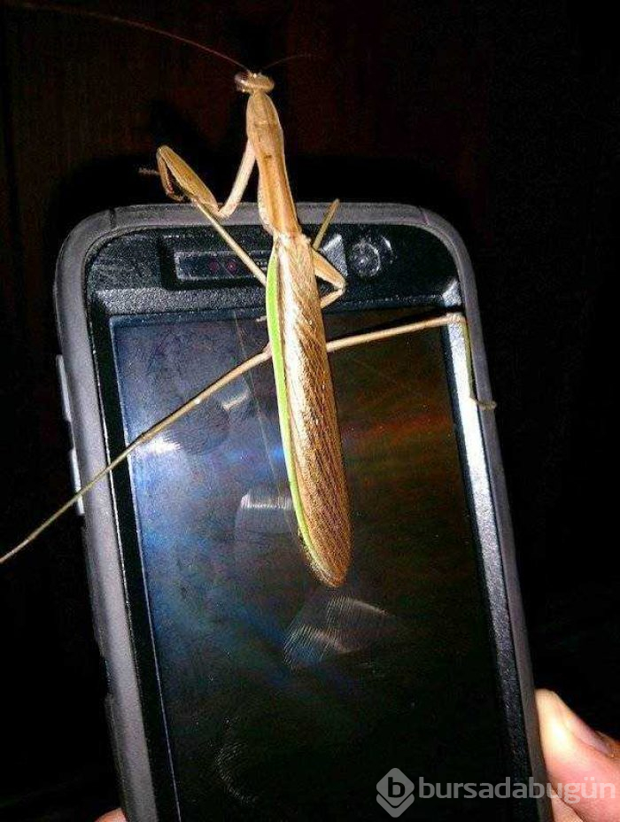 Günün en çok paylaşılan fotoğrafları (02.08.2019)