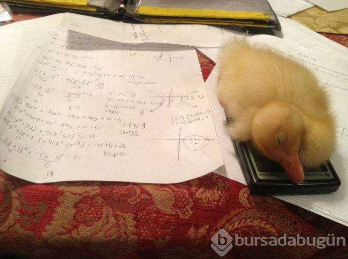 Günün en çok paylaşılan fotoğrafları (02.08.2019)