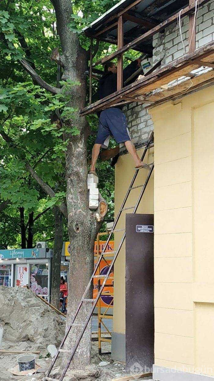 Günün en çok paylaşılan fotoğrafları (05.08.2019)