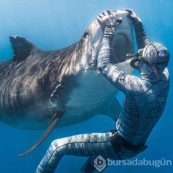 Günün en çok paylaşılan fotoğrafları (05.08.2019)
