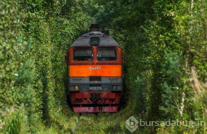 Günün en çok paylaşılan fotoğrafları (05.08.2019)