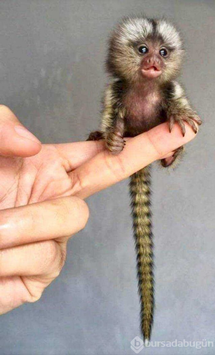 Günün en çok paylaşılan fotoğrafları (05.08.2019)