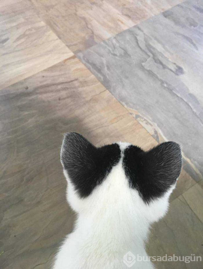 Günün en çok paylaşılan fotoğrafları (05.08.2019)