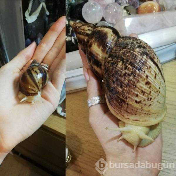 Günün en çok paylaşılan fotoğrafları (05.08.2019)