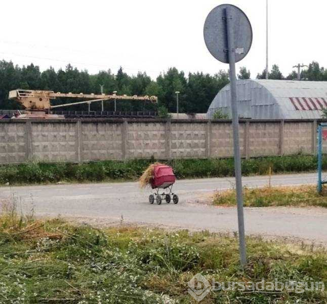 Günün en çok paylaşılan fotoğrafları (05.08.2019)