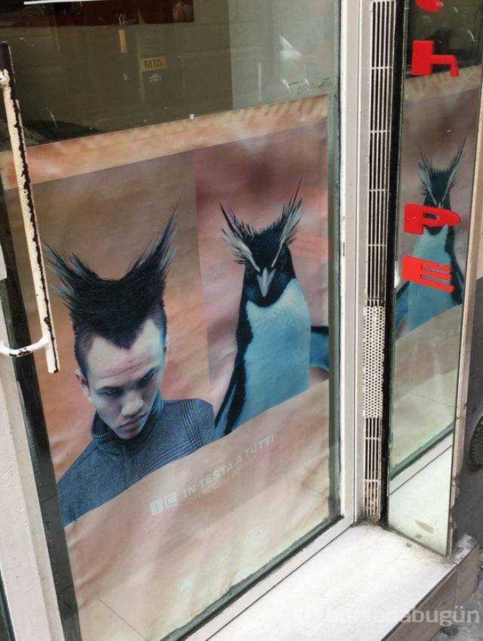 Günün en çok paylaşılan fotoğrafları (05.08.2019)