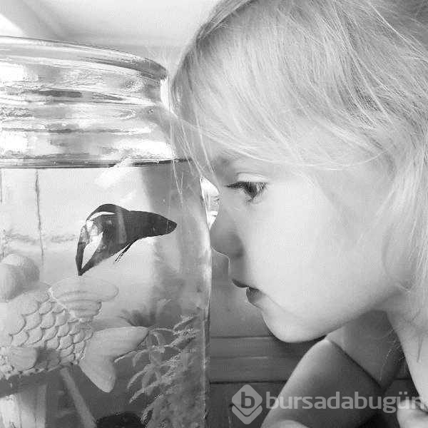 Günün en çok paylaşılan fotoğrafları (05.08.2019)